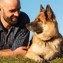 dogs taught to detect cancer