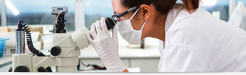 Researchers Grow Miniature Beating Hearts to Study Disease