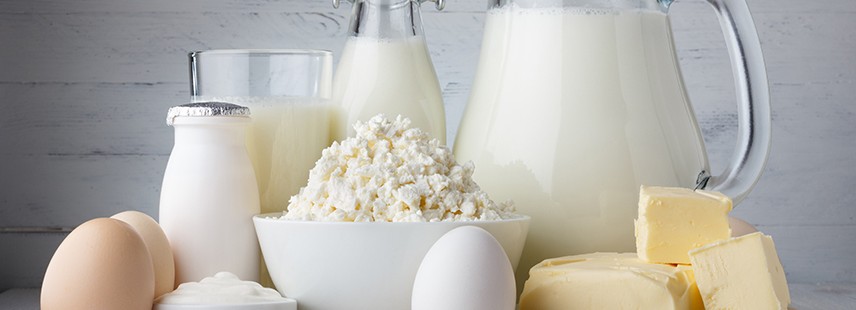 Dairy