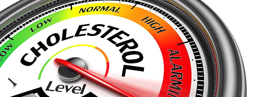 cholesterol