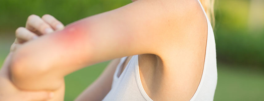 We're going to test your knowledge with our true or false summer quiz.