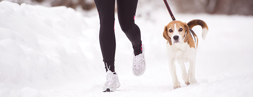 Try implementing these study-proven weight management strategies.