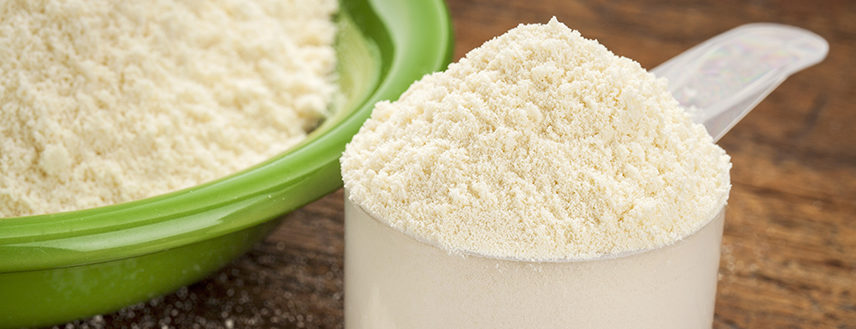 Whey protein is probably one of the most overlooked tools for immune support.