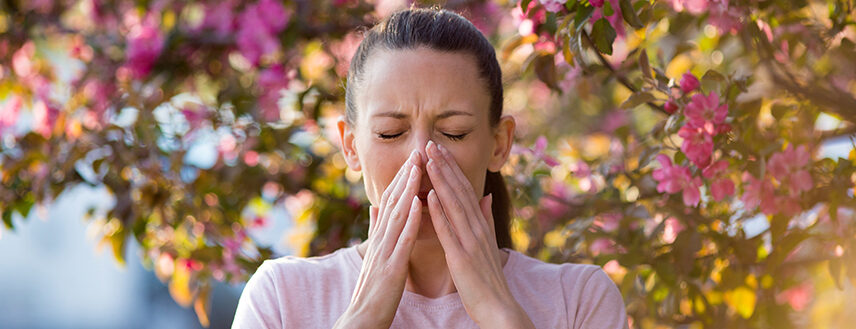 Here is everything you need to know about the allergic response to pollen.