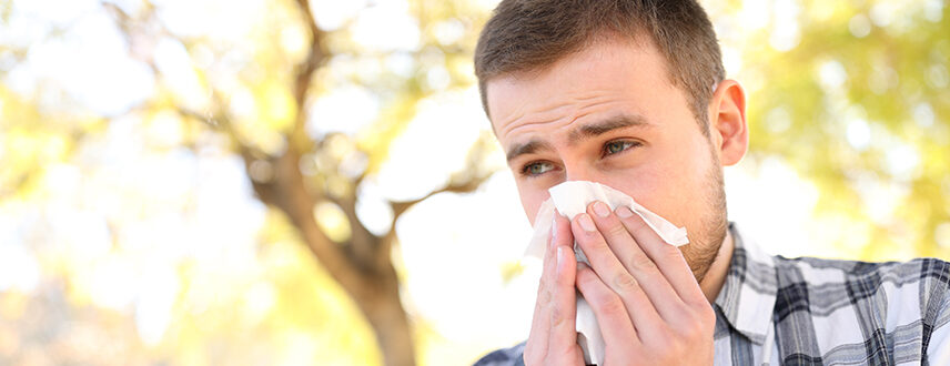 Spring allergies, also known as hay fever or seasonal allergic rhinitis, are primarily triggered by pollen from trees, grasses, and flowers.